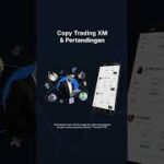 Thumbnail of related posts 091