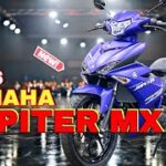 Thumbnail of related posts 118