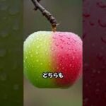 Thumbnail of related posts 024