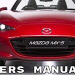 Thumbnail of related posts 117