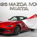 Thumbnail of related posts 073