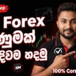 Thumbnail of related posts 051