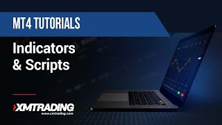 Thumbnail of post image 024