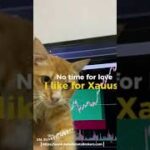 Thumbnail of related posts 066