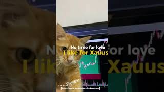 Thumbnail of post image 093