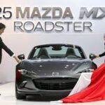 Thumbnail of related posts 096